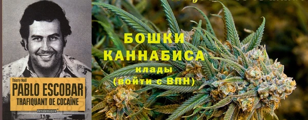 амф Новокубанск