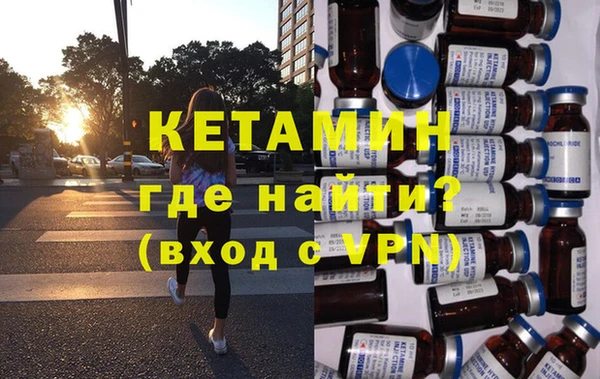 сатива Новозыбков